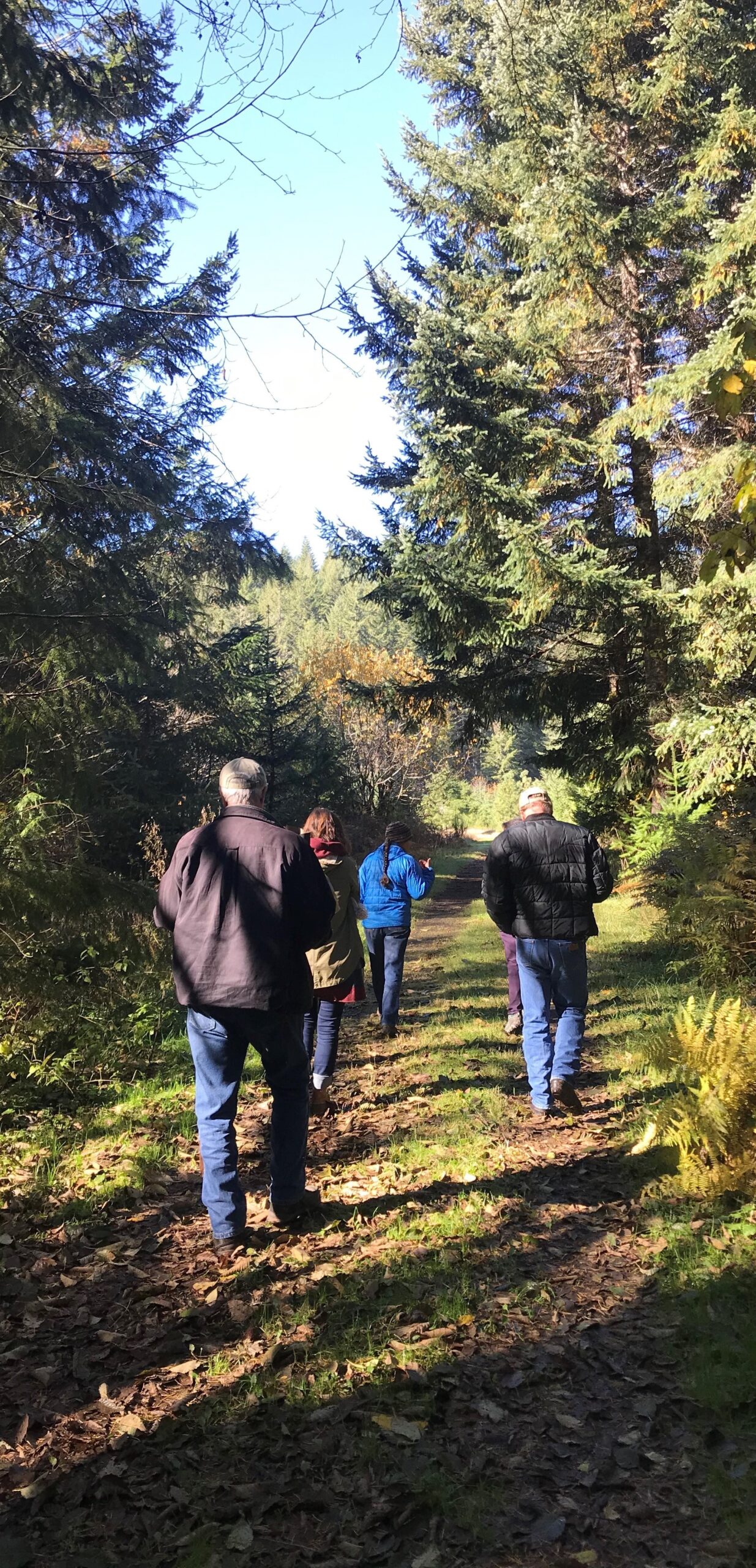 BLA members walking through the woods